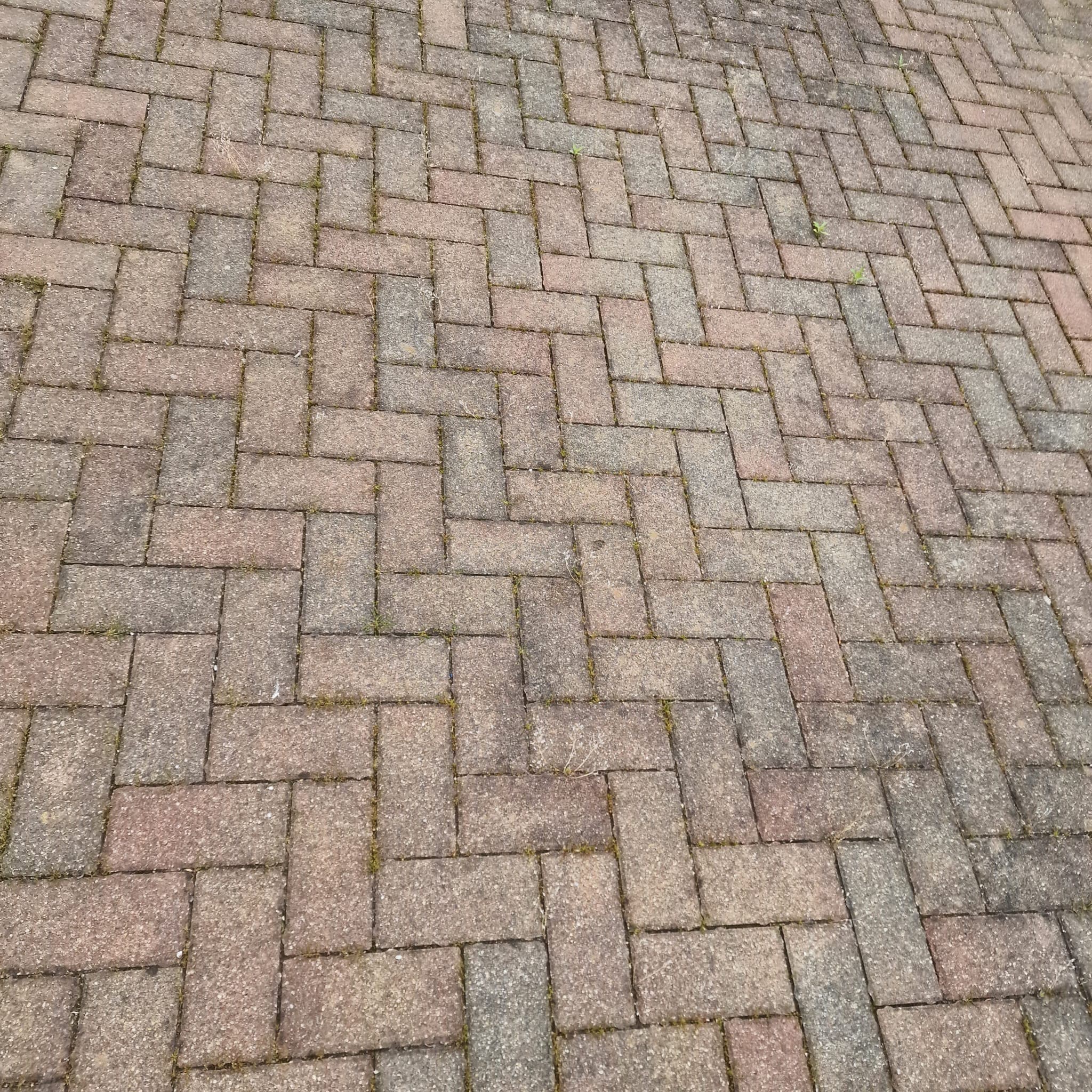 Vorher Projekt 1